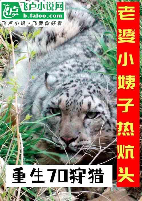 重生70狩猎，老婆小姨子热炕头