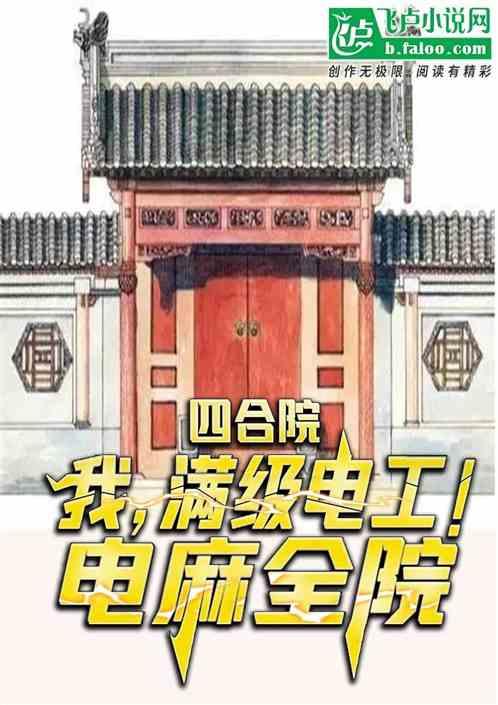 四合院：我，满级电工！电麻全院