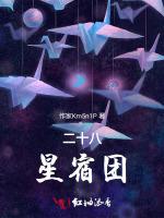 二十八星宿团