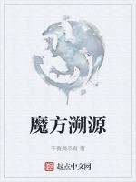 魔方溯源